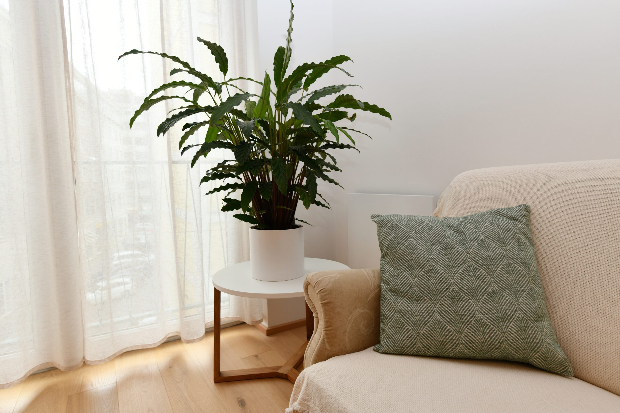 Psychotherapeutin Personzentrierte Psychotherapie 1010 Wien Kordula Kastner